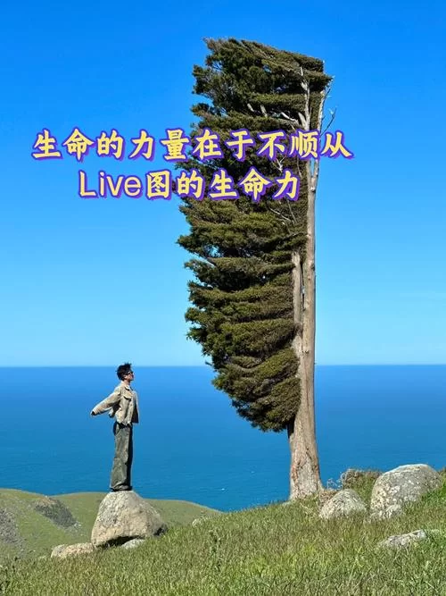 强烈的愿望最新版本是多少？(这里有你想知道的最新解读)