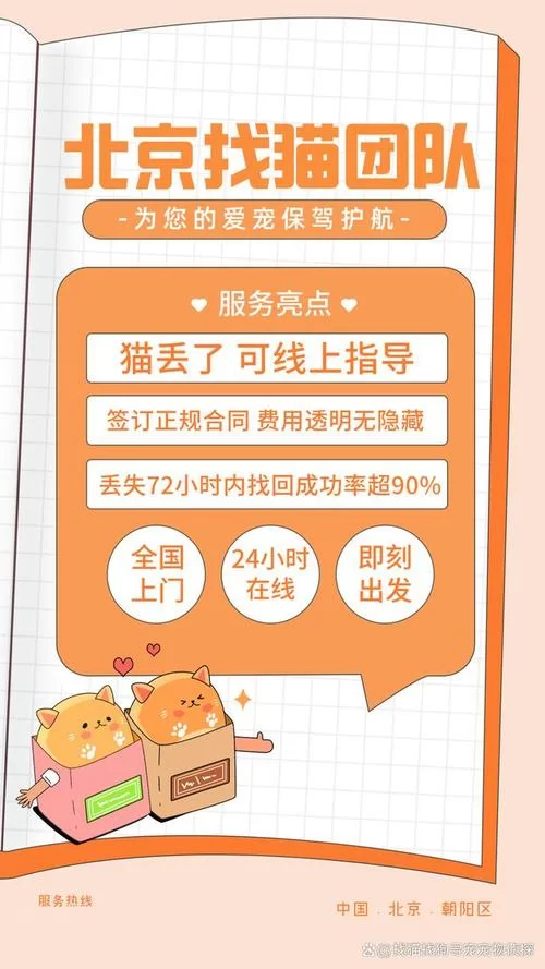 当你的猫咪下载地址找不到？试试这些靠谱的途径！