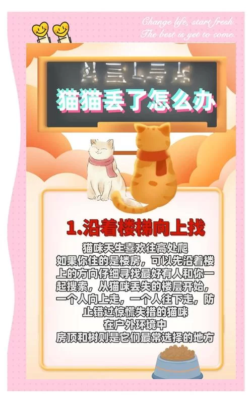 当你的猫咪下载地址找不到？试试这些靠谱的途径！