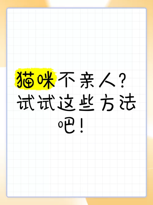 当你的猫咪下载地址找不到？试试这些靠谱的途径！