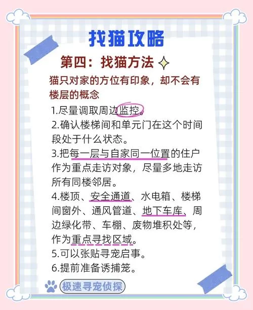 当你的猫咪下载地址找不到？试试这些靠谱的途径！