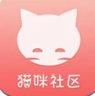 当你的猫咪官方正式版下载最新版，免费获取完整游戏包指南