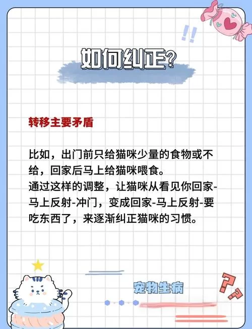 当你的猫咪官网怎么推广？简单几招让它人气爆棚！