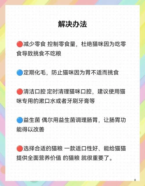 当你的猫咪最新不吃饭怎么办？教你几招轻松搞定挑食猫！