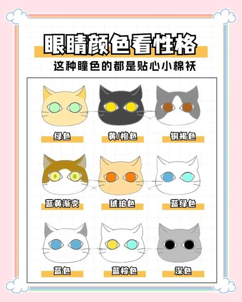 当你的猫咪最新版本是多少？一篇文章看懂新版本特性与变化！
