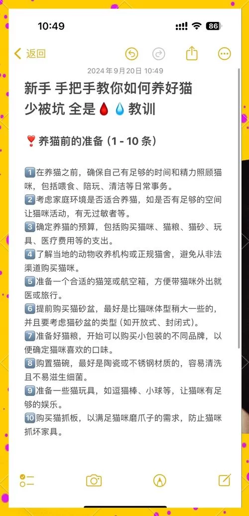 当你的猫咪最新版本有哪些技巧？(高手教你轻松通关)