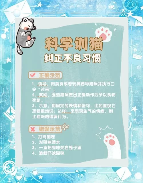 当你的猫咪最新版本有哪些技巧？(高手教你轻松通关)