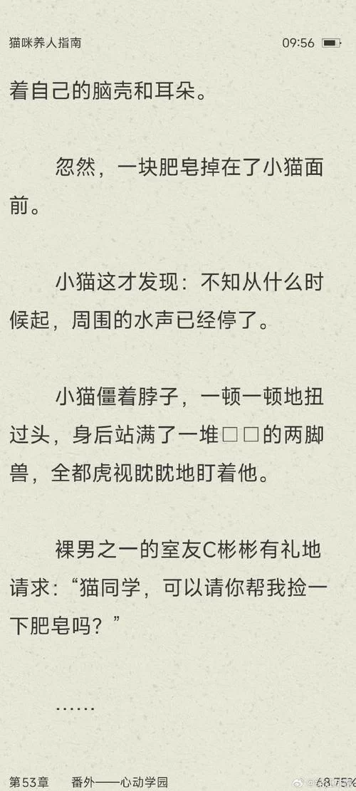 当你的猫咪汉化版下载哪里有？这几个靠谱渠道分享给你！