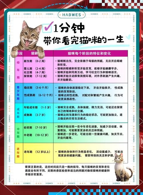 当你的猫咪游戏攻略新手怎么入门？保姆级教程助你快速成长！