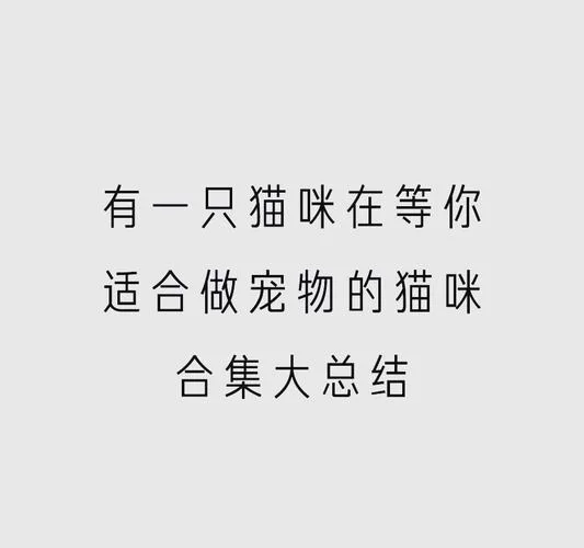 当你的猫咪版本大全来了，铲屎官们快来认领自家小可爱！