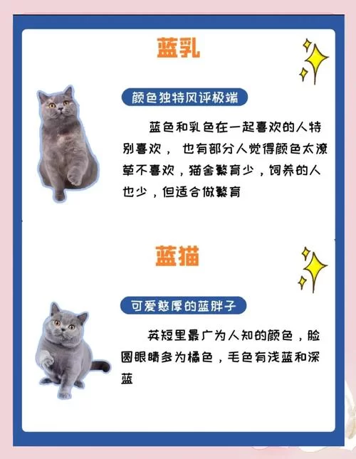 当你的猫咪版本大全来了，铲屎官们快来认领自家小可爱！