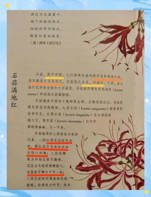 彼岸花更新地址是什么？这里有最新消息告诉你！