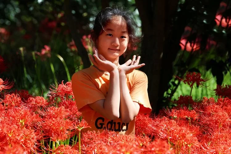 彼岸花最新版本是多少？更新内容抢先看别错过！
