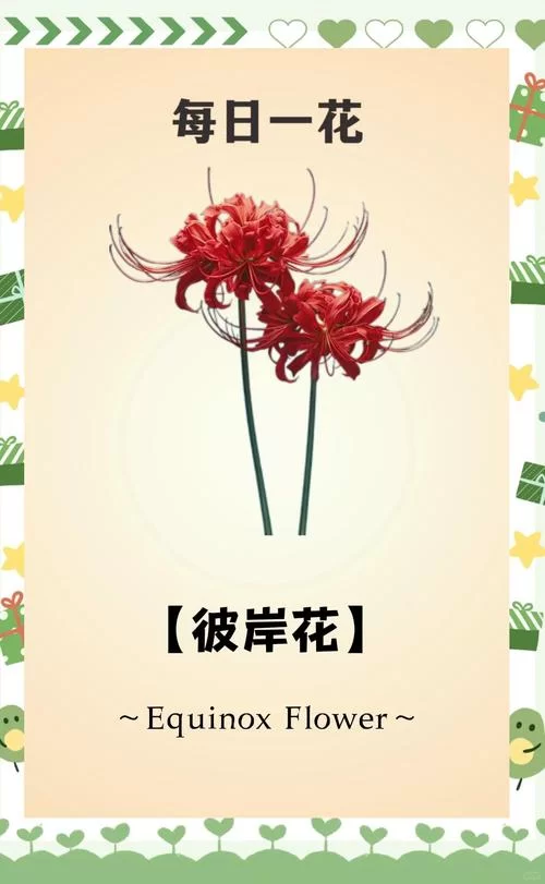 彼岸花游戏攻略难点在哪里？高手心得助你快速攻克难关！
