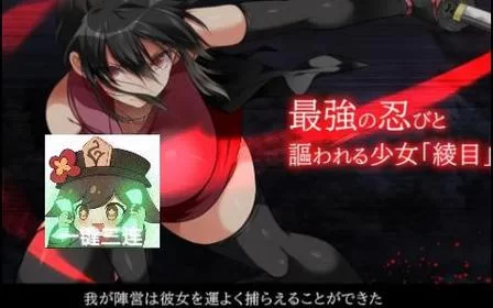 忍堕/女忍调教下载安卓哪个靠谱？大神推荐安全渠道！
