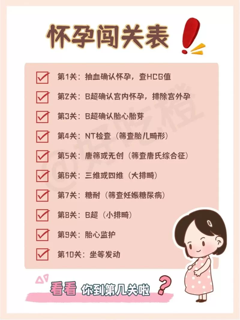怀孕无双游戏攻略怎么快速通关 (大神分享轻松通关技巧)