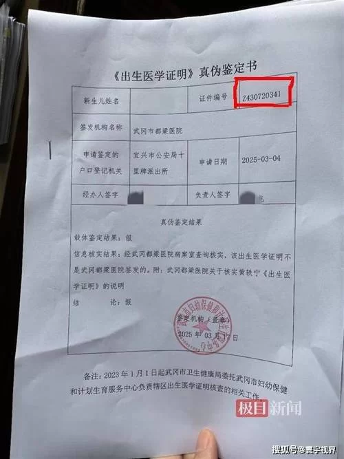 急用！出生证明在哪下载？最新官方下载教程来了！