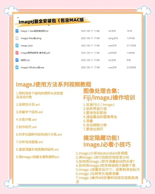 恋爱季节如何下载？一分钟学会获取安装包方法！