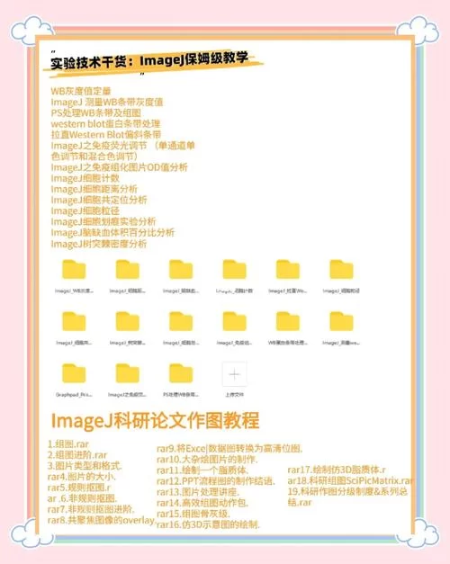 恋爱季节如何下载？一分钟学会获取安装包方法！