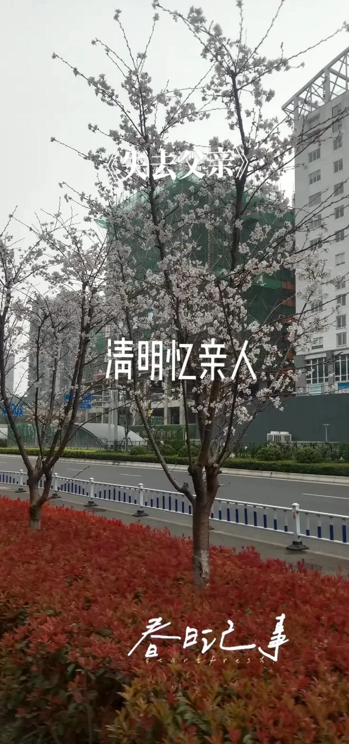 悲伤的天堂下载地址哪里有？这里有最新可用链接！