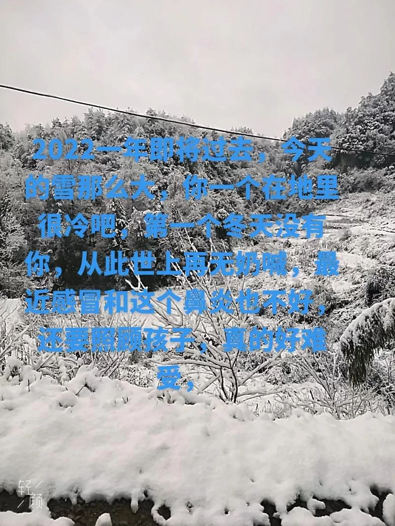 悲伤的天堂最新版有哪些看点？深度解析在这里！