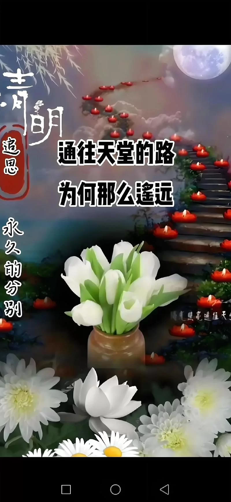 悲伤的天堂最新版有哪些看点？深度解析在这里！