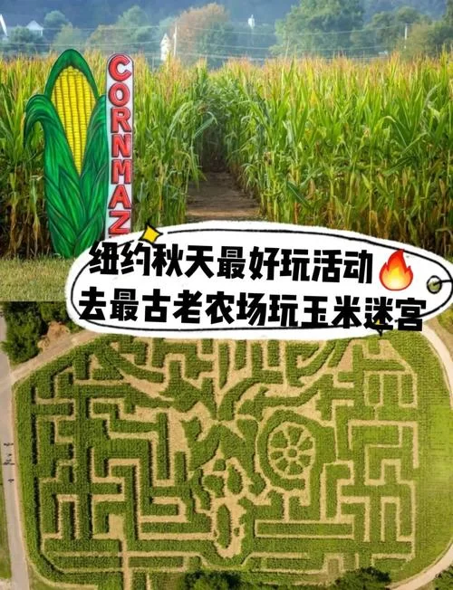 想了解我的播种农场官网？这里有你想看的一切！
