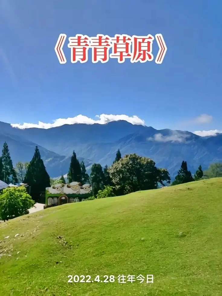 想了解青青草原汉化版最新更新内容？看这一篇就够了