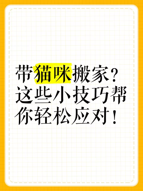 想体验当你的猫咪安卓汉化？这些小技巧不能少！