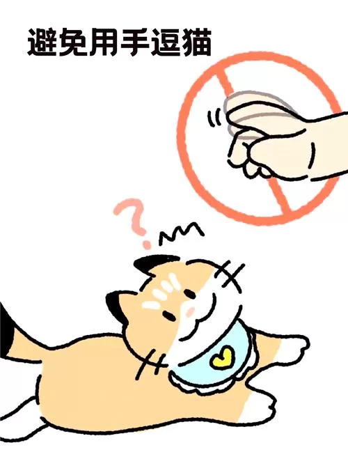 想体验当你的猫咪安卓汉化？这些小技巧不能少！