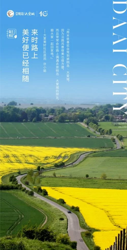 想找岛主日记下载地址？看这里有安卓苹果版！