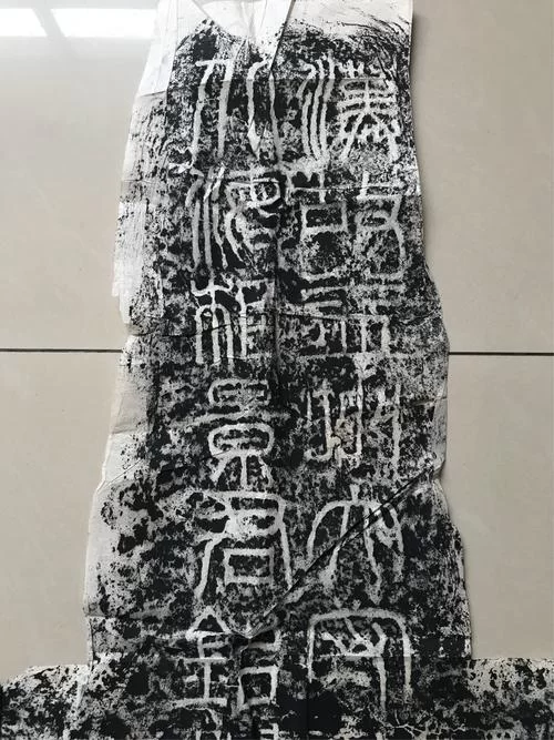 想找拓君和他的九个姐妹官网？最新入口看这里就对了！