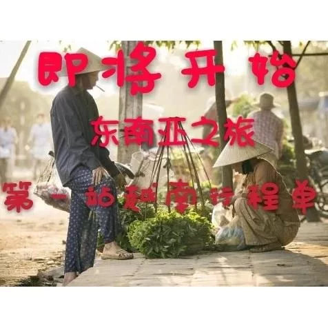 想玩nekotto岛官方正式版下载最新版？(官方渠道下载最靠谱)