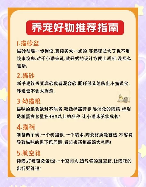 想知道当你的猫咪如何下载？新手宠主看这篇就懂！