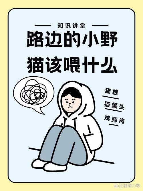 想要野猫官方正式版下载最新版？简单几步教你快速获取！