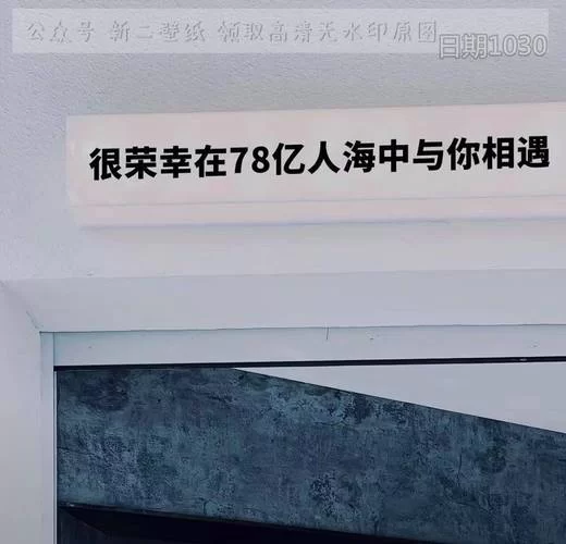 我很荣幸下载安卓哪个版本好？老用户给你建议！