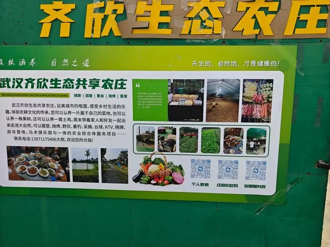 我的播种农场官方网站有更新吗？查看最新版本和福利！