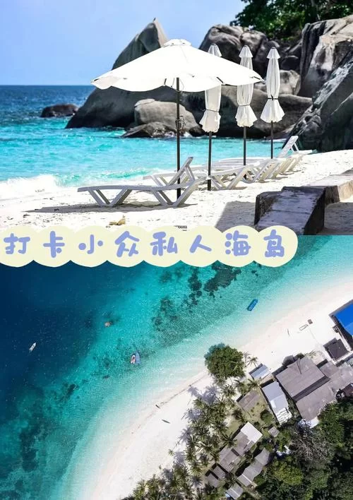 手机上岛主日记在哪下载？安卓苹果通用下载教程来了！