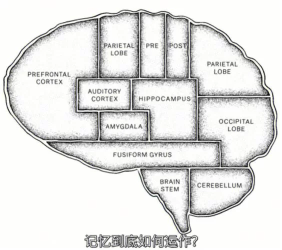 扭曲的记忆最新攻略怎么找？大神分享通关秘籍！
