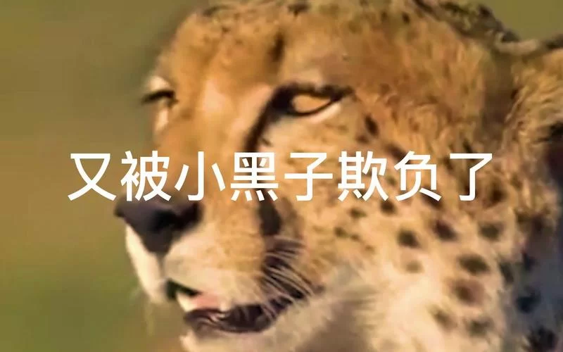 找不到真爱就扑街官方正式版下载最新版手机能玩吗？安卓苹果通用！