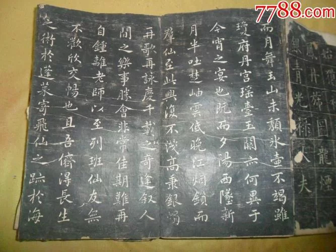 拓君和他的九个姐妹最新版本更新了啥？一文看懂所有新内容！