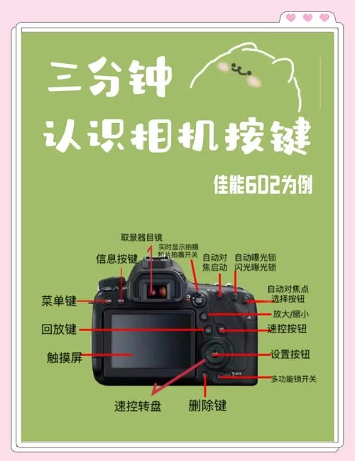 摄影师的谎言如何下载？这里有快速获取方法！
