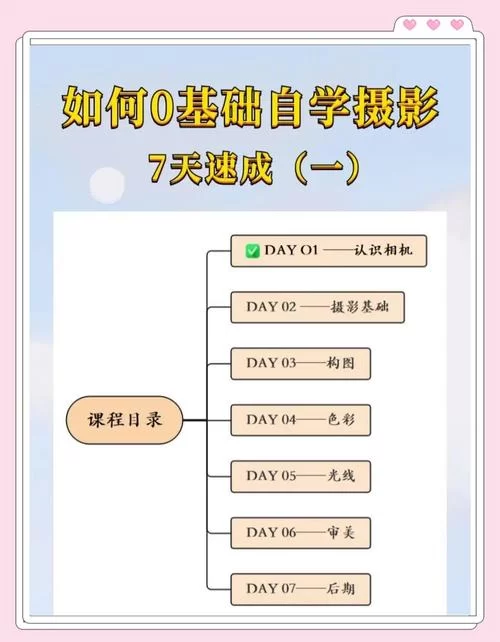 摄影师的谎言游戏介绍怎么玩？（新手入门规则看这里）