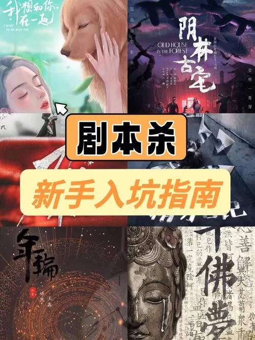 新保姆安卓汉化怎么玩？新手小白看这篇攻略。