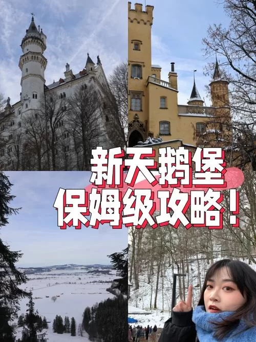 新保姆官方正式版最新版怎么样？下载体验就知道了！