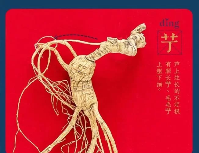 月下40部官网怎么用才方便？超实用指南新手必看！
