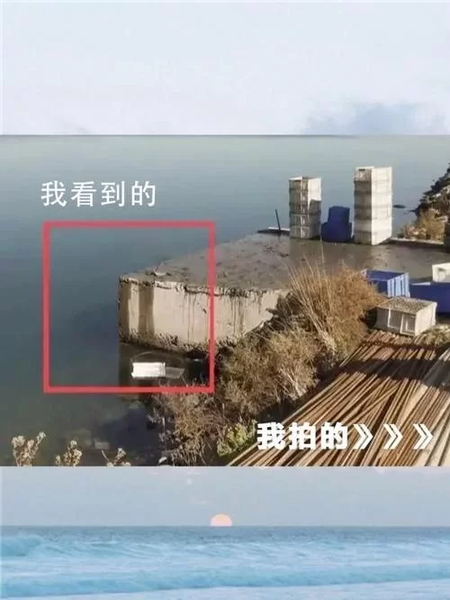 月下40部最新版本哪里能看？老司机带你轻松找到！