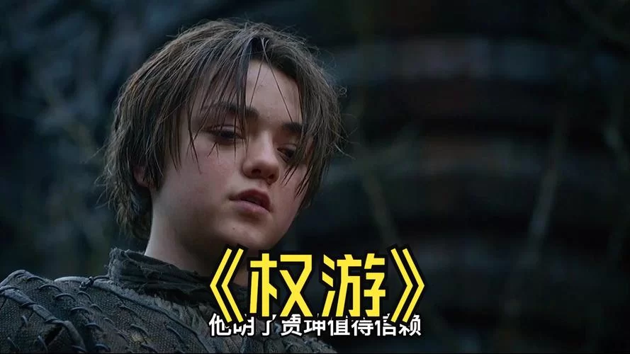 权力的代价游戏介绍好玩吗？玩家真实评价告诉你！