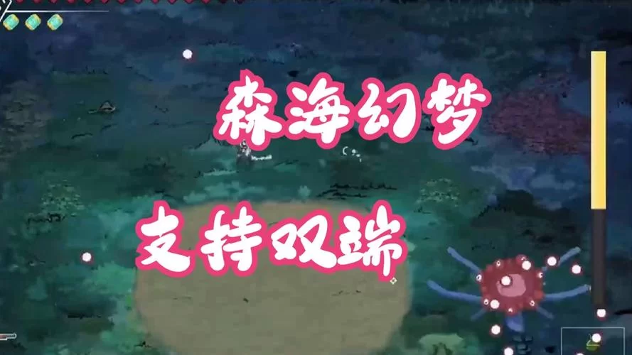 森海幻梦下载地址哪个版本好？这里有详细对比哦。