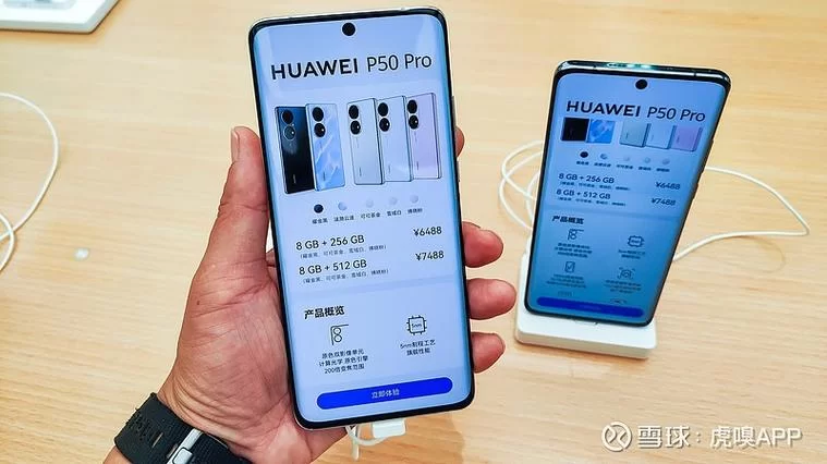 欲之冠如何下载？老司机教你辨别真伪避免踩坑